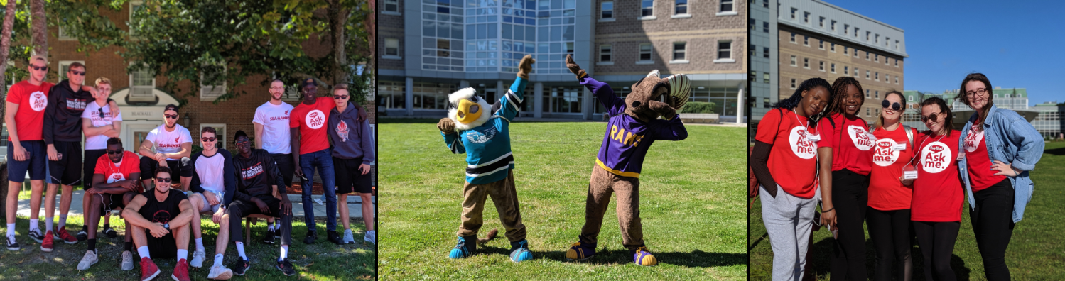 Collage of three photos: Group of male varsity student volunteers posing in front of residence, two mascots posing in a field, and group of female volunteers in sunny outdoor setting